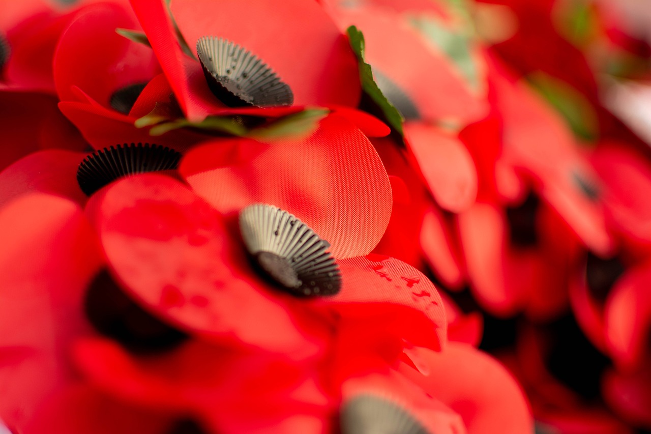 Falmouth's Annual Acts of Remembrance: Remembrance Sunday Parade and Service